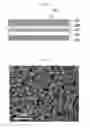 Fig. 02 - Light-emitting diode and method of fabricating the same