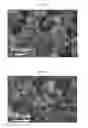 Fig. 03 - Light-emitting diode and method of fabricating the same