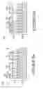 Fig. 06 - Clamp elements for phase change memory arrays