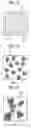 Fig. 02 - FUNCTIONAL FILM
