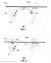 Fig. 06 - Transmission medium having multiple cores and methods for use therewith