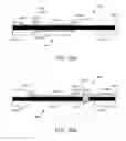Fig. 46 - Structure and method of manufacture for acoustic resonator or filter devices using improved fabrication conditions and perimeter structure modifications