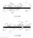 Fig. 44 - Structure and method of manufacture for acoustic resonator or filter devices using improved fabrication conditions and perimeter structure modifications