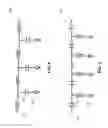 Fig. 09 - Tunable Duplexer