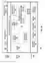 Fig. 09 - Method for packet scheduling using multiple packet schedulers