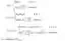 Fig. 96 - Scheduled light path switching in optical networks and automatic assessment of traffic impairments that would result from adding or deleting a channel in a wavelength-division multiplexed optical communication network