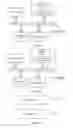 Fig. 06 - Method for configuring forwarding table for user equipment, apparatus, and system