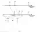 Fig. 03 - Precise statistics computation for communication networks