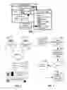 Fig. 02 - Social interaction data preservation for augmented photos