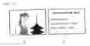Fig. 86 - IMAGE DISPLAY APPARATUS HAVING IMAGE-RELATED INFORMATION DISPLAYING FUNCTION