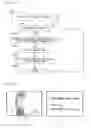 Fig. 98 - IMAGE DISPLAY APPARATUS HAVING IMAGE-RELATED INFORMATION DISPLAYING FUNCTION