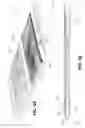 Fig. 05 - Systems and methods involving edge camera assemblies in handheld devices