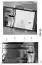 Fig. 25 - Systems and methods involving edge camera assemblies in handheld devices