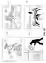 Fig. 29 - Systems and methods involving edge camera assemblies in handheld devices
