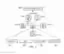 Fig. 07 - Targeted content during media downtimes