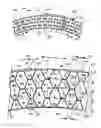 Fig. 01 - OPTICAL ELEMENT FOR HEAT COLLECTION
