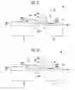 Fig. 04 - Press apparatus and pressing method thereof