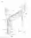 Fig. 02 - Display apparatus