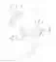 Fig. 05 - Reciprocator-type quick-releasing mechanism