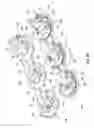 Fig. 09 - Cold plate
