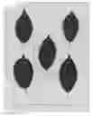 Fig. 04 - Cherry tree (ROOTSTOCK) NAMED 'CRAWFORD'