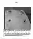 Fig. 06 - Articles of Manufacture And Related Methods To Create Insect Barriers