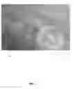 Fig. 02 - ANTI-FUNGAL COMPOSITIONS AND ASSOCIATED METHODS