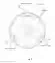 Fig. 08 - Cold brewing system