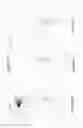 Fig. 09 - KNOTLESS TIES