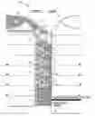 Fig. 01 - PADDING ELEMENT FOR CLOTHING ITEMS, PROCESS FOR MAKING SAID ELEMENT AND A CLOTHING ITEM THEREOF