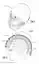 Fig. 02 - HELMET