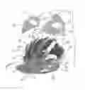 Fig. 01 - Partial Outer Hard Shell Helmet with Fiber Filled Plastic