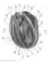 Fig. 02 - Partial Outer Hard Shell Helmet with Fiber Filled Plastic