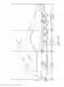 Fig. 02 - Foot support members that provide dynamically transformative properties