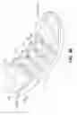 Fig. 13 - Components for articles of footwear including lightweight, selectively supported textile components