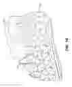Fig. 18 - Components for articles of footwear including lightweight, selectively supported textile components