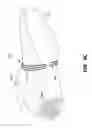 Fig. 22 - Components for articles of footwear including lightweight, selectively supported textile components