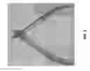 Fig. 02 - NAIL CLIPPER