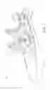 Fig. 02 - HUNTING ACCESSORY BAG DEVICE AND METHOD