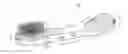 Fig. 01 - Composite head toothbrush having safety features