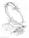 Fig. 01 - Infant care apparatus