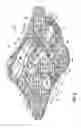 Fig. 07 - Infant care apparatus