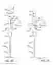 Fig. 04 - Methods and apparatus for treating disorders of the ear nose and throat