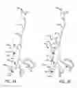 Fig. 07 - Methods and apparatus for treating disorders of the ear nose and throat
