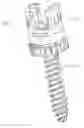 Fig. 01 - Self in-fusing pedicle screw implant
