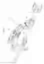 Fig. 41 - Intramedullary fracture fixation devices and methods