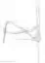 Fig. 55 - Intramedullary fracture fixation devices and methods