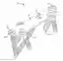 Fig. 01 - Bone plate with transverse screw