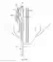 Fig. 20 - Devices and methods for treating a lateral surface of a nasal cavity