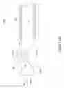 Fig. 16 - Ostial renal nerve ablation